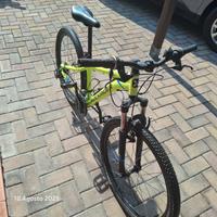 bicicletta ragazzo
