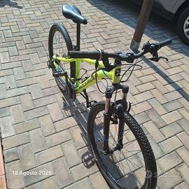 bicicletta ragazzo
