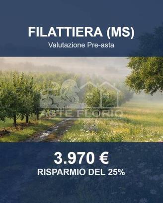 Immobile in asta di 10380 m² a Filattiera