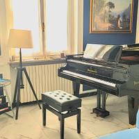 Pianoforte Bosendorfer 200