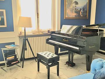 Pianoforte Bosendorfer 200