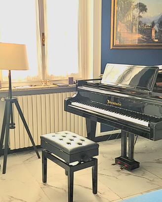 Pianoforte Bosendorfer 200