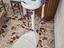 Immagine 6
