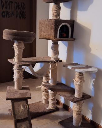 tiragraffi, cuccia e rubo