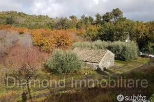 Terreno 5 ettari con fabbricato Piedimonte Etneo