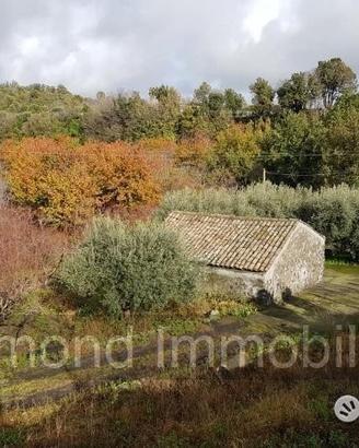 Terreno 5 ettari con fabbricato Piedimonte Etneo