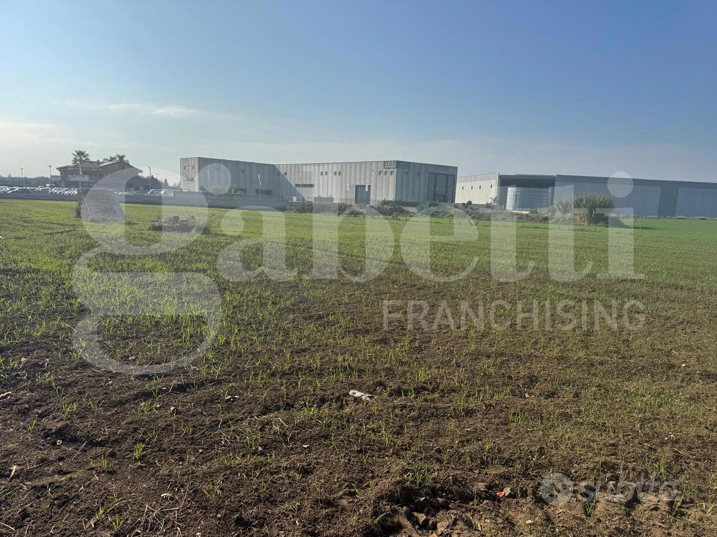 Terreno Agricolo Vitulazio [Cod. rif 3261429VCG] - Vista 3