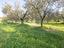 Immagine 16
