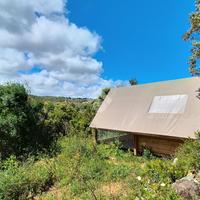 TER. AGRICOLO A LUOGOSANTO