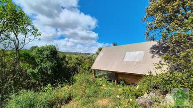 TER. AGRICOLO A LUOGOSANTO