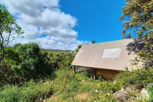 TER. AGRICOLO A LUOGOSANTO