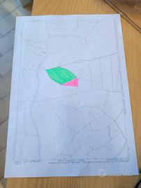 Terreni agricoli a Castellania (AL)