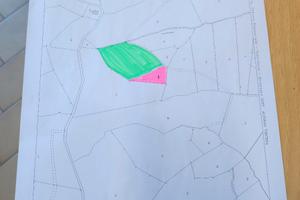 Terreni agricoli a Castellania (AL)