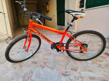Bicicletta schiano 