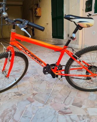 Bicicletta schiano 