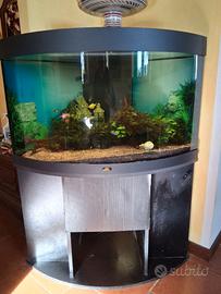Acquario juwel