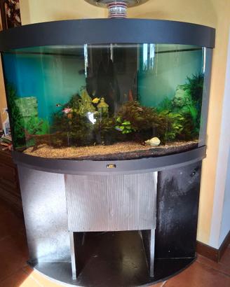 Acquario juwel