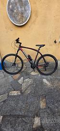 bicicletta