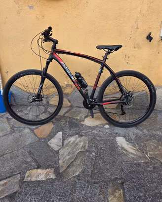 bicicletta