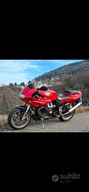 Guzzi Daytona rs