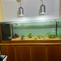 Acquario 300L con mobile
