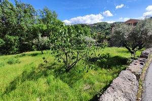 Terreno Edificabile Mendicino, vicino Cosenza