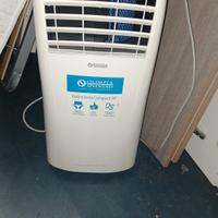 Pinguino - climatizzatore 