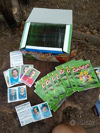 cofanetto Panini 2000/2001 special edition