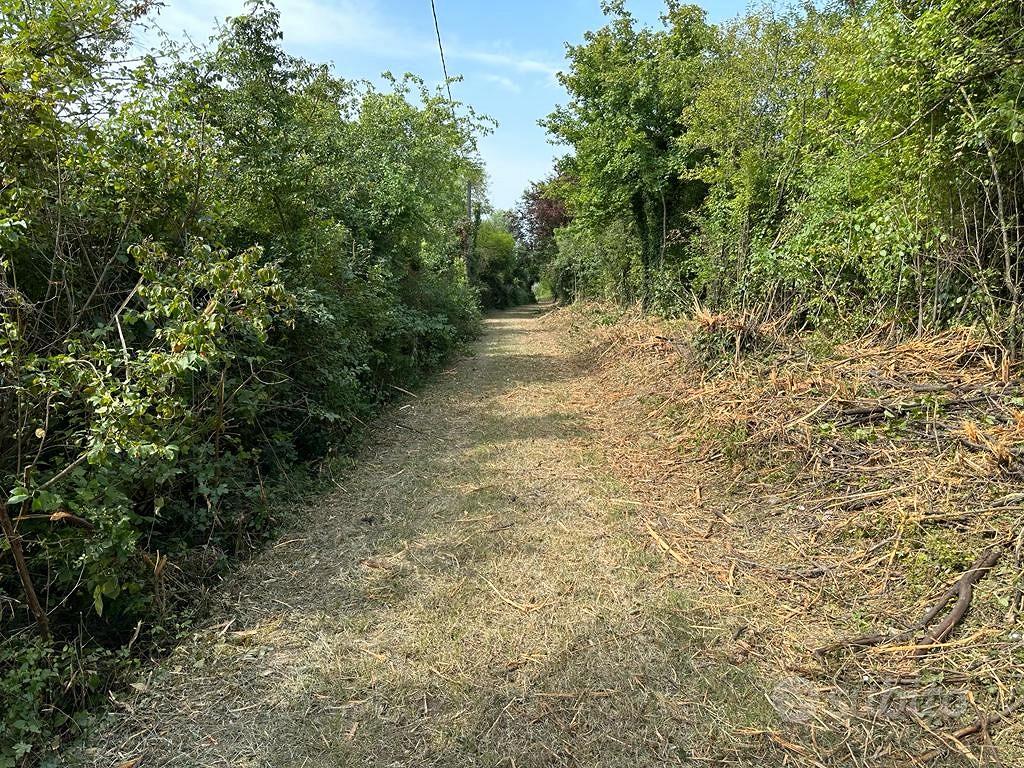 Spinea fornase magazzino con 3.900mq di terreno - More