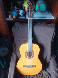 nuova chitarra eko 