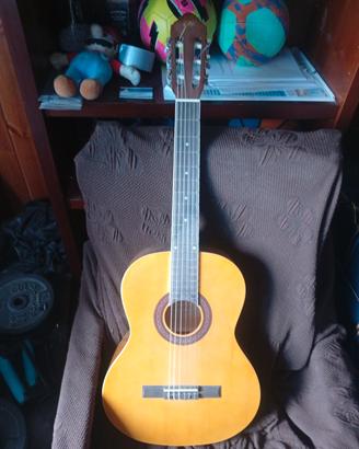nuova chitarra eko 