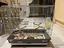 Immagine 1