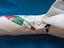 Immagine 3
