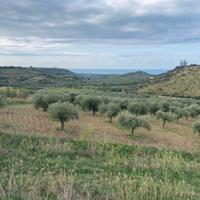 Terreno con costruzione