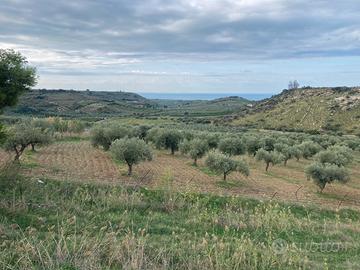 Terreno con costruzione
