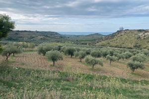 Terreno con costruzione