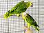 Immagine 1