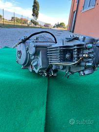 YX 170 MDR cambio motard - preparato 12 pollici