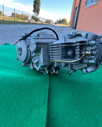 YX 170 MDR cambio motard - preparato 12 pollici