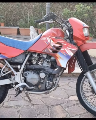 Kawasaki KLR