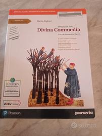 Divina Commedia 