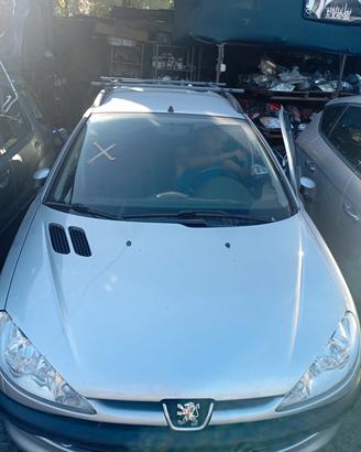 Ricambi Peugeot 206