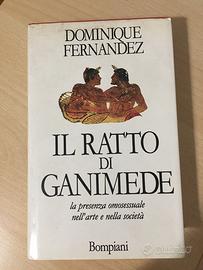 Il ratto di Ganimede  - Fernandez