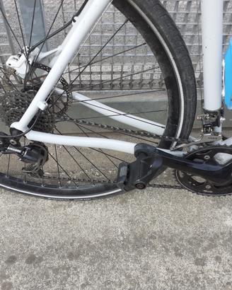 Bici sportiva tg m