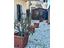 Immagine 11
