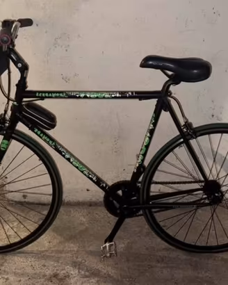 Bergamont Pedro single speed