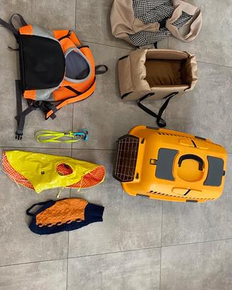 Set cane piccola taglia