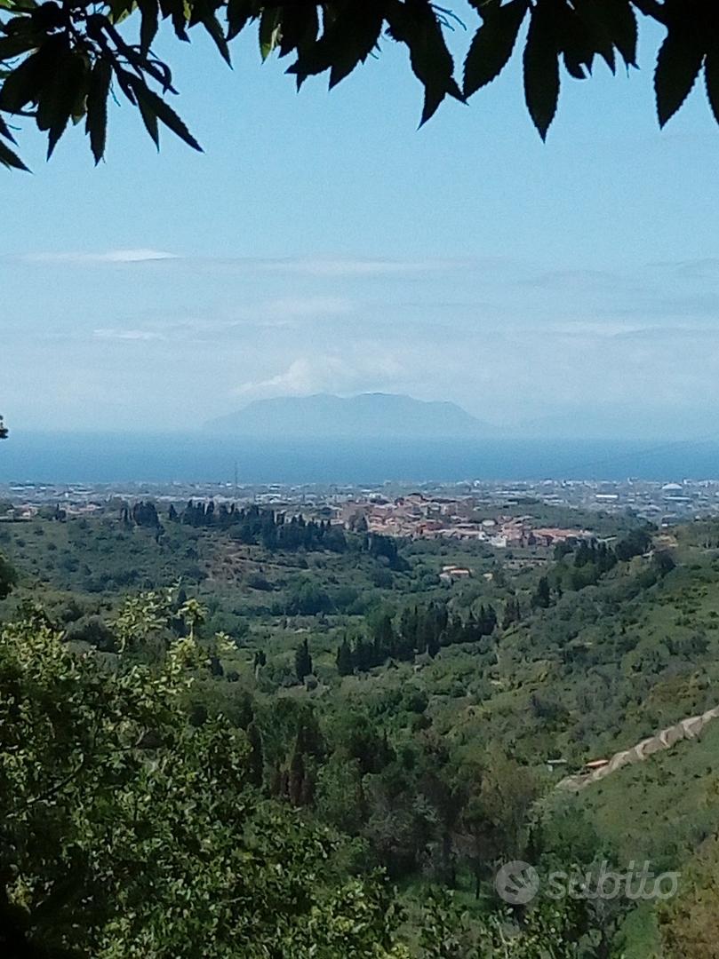 Terreno agricolo - Vista 2