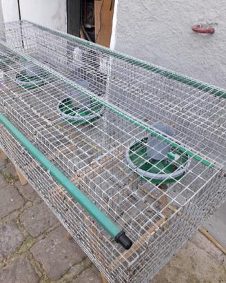 Gabbie da ingrasso conigli