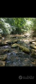 Terreno con due ruscelli perenni Majella